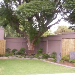Lawn area for kids and pets. Japanese garden beds planted around lawn. Chinese Buddha statue on podium. Wooden screens. Rocks.