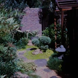 Sunsational Japanese garden